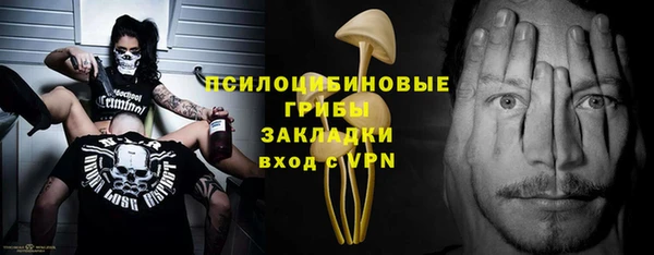 винт Няндома