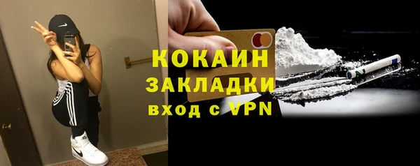 винт Няндома