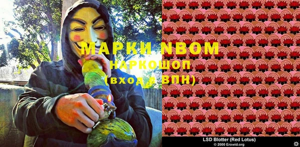 винт Няндома