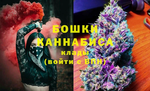 молекула духа Нязепетровск