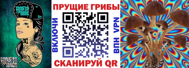 Псилоцибиновые грибы ЛСД  это как зайти  Сосновка 